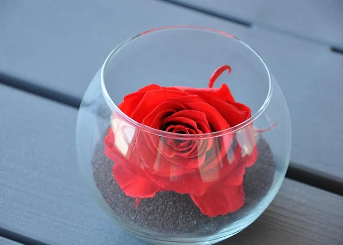 Appartamento Mandana Agde