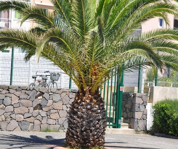 Mandana Appartamento *